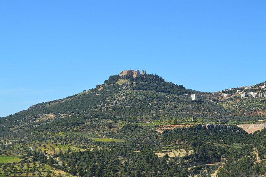 Jerash & Ajloun (full day) 4 Person