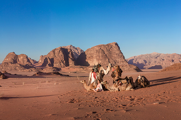 LEMMETravel.com® Tours & Activities