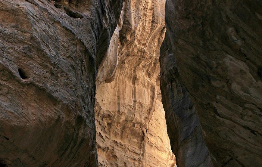 Amman-Petra-Amman (full day) 7 Person