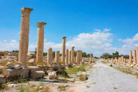 Amman- Jerash -Ajlun- Um qais – Amman (full day) 7 Person