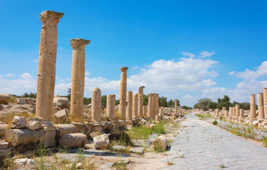 Amman- Jerash -Ajlun- Um qais – Amman (full day) 4 Person