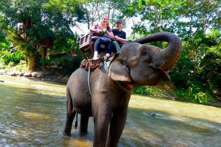 Chiang Mai Highlights & Elephant Sanctuary – 4 Days / 3 Nights